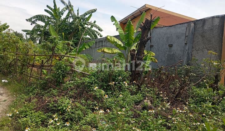 Dijual Tanah Murah & Strategis Jl. Bypass Rangkasbitung