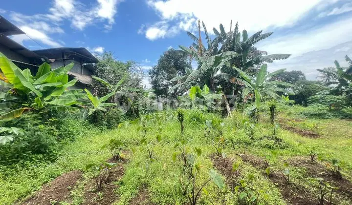 Dijual Tanah Cocok untuk Gudang atau Pabrik di Jalan Kemang Parung Jalan Raya Jakarta Bogor