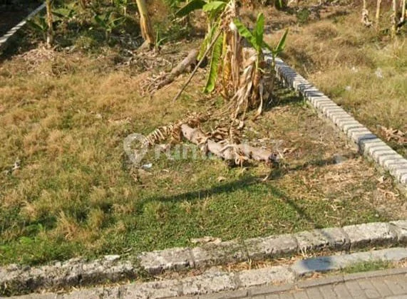 Tanah Siap Bangun Sudah Urukan Imb,pln.pdam Eks Rumah Tanah Siap Bangun Sudah Urukan Imb,pln.pdam Eks Rumah