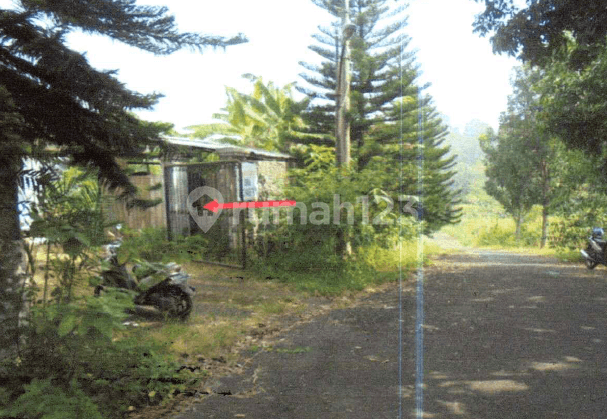 Tanah Luas di Lelang Murah di Kawasan Premium Cinere Depok