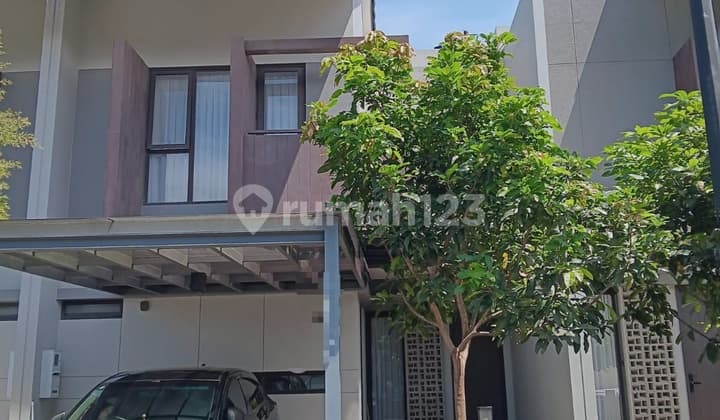 For Rent / Sewa Rumah Freya-furnish Cluster Flora Summarecon