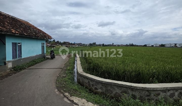 Tanah Cangkuang Termurah Harga Per M2 Murah Jual Cepat