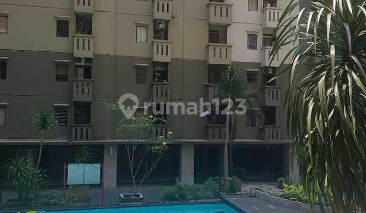 Apartemen Gateway Ahmad Yani Cicadas 2 Br Jual Bu Jual Cepat Dekat Trans Studio