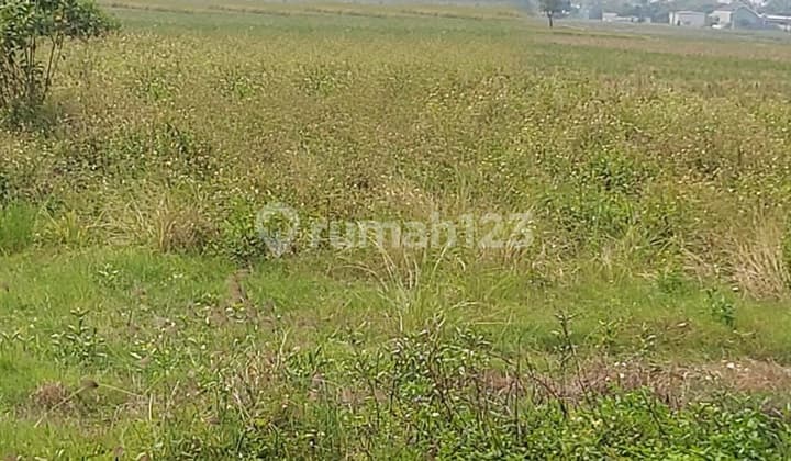 Dijual Tanah Di Babelan Bekasi 8700 M² SHM