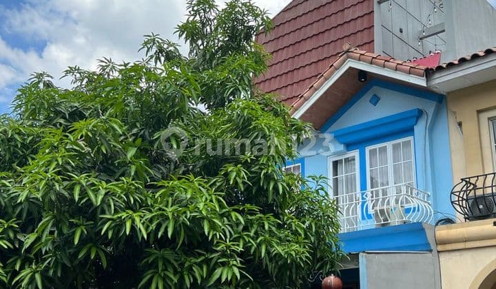 Rumah Cantik Super Murah di Pusat Kota Dekat dengan Mall Fasilitas Kesehatan Sekolah Internasional dan Dekat dengan Akses Tol