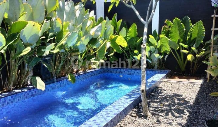 Rumah Murah Nuansa Vila di Jogja: Tepi Jl. Aspal