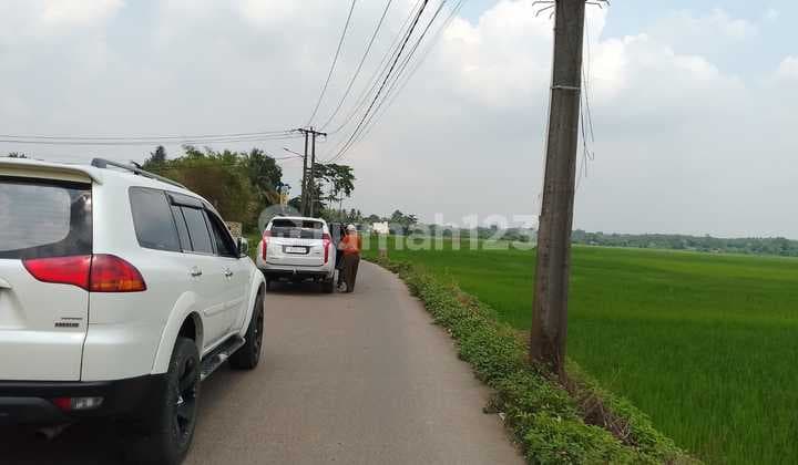 Butuh Cepat, Tanah Sawah Pinggir Jalan - Dekat Kantor Desa | Murah Nego.