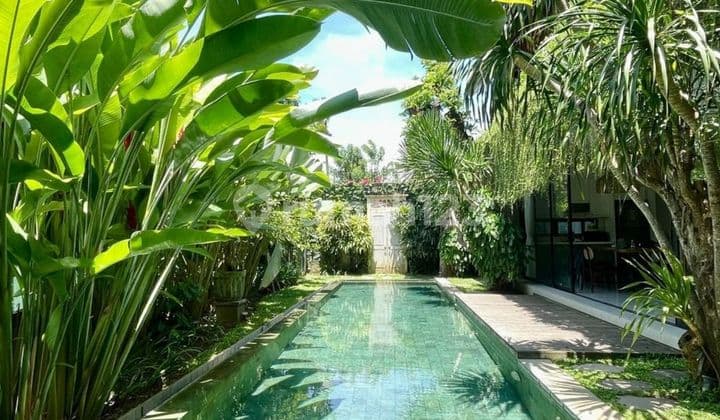 Spacious Beautiful 4 Bedrooms Villa In Sanur Kauh
