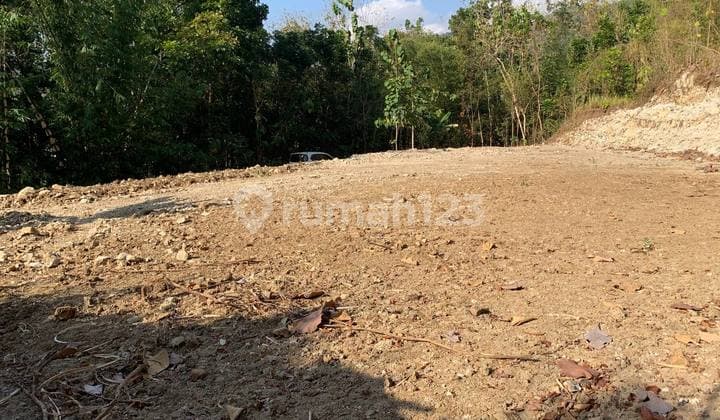 Tanah SHM Strategis di Pleret Deket Hutan Pinus, Lokasi Oke!