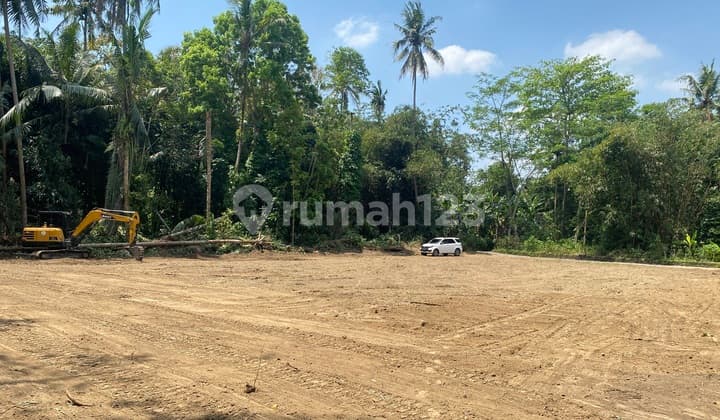Tanah SHM Dekat SCH Mall Investasi Menjanjikan