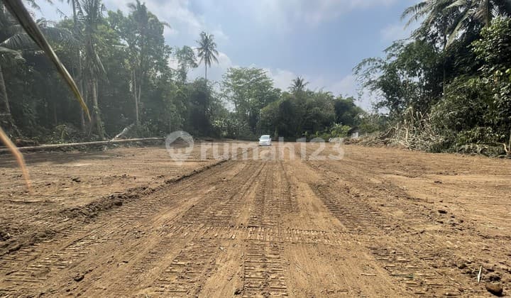 Tanah SHM Strategis Pemda Sleman Dekat SCH Mall