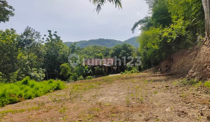 Tanah SHM Prospektif Dekat Pasar Tradisional Pleret