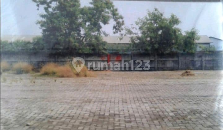 Dijual: Tanah Raya Osowilangon