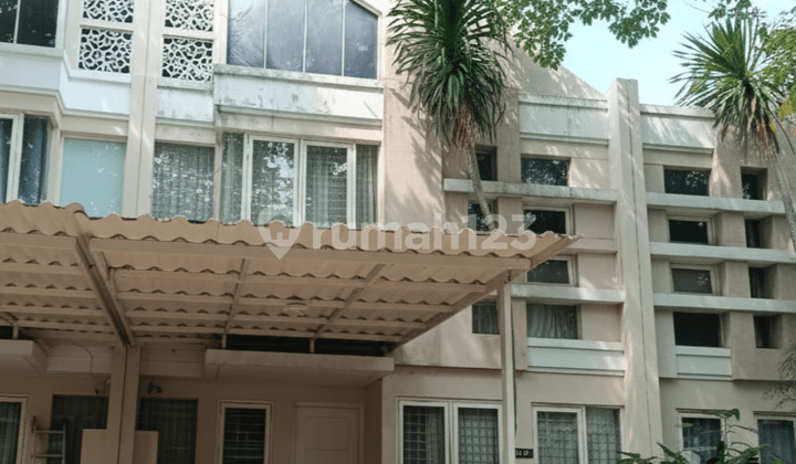 Disewakan Rumah Full Furnished Zimbali Costa, Pakuwon City