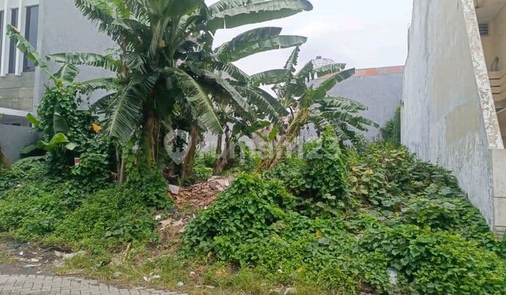 Tanah Lebar 12 Meter di Lebak Arum Surat SHM