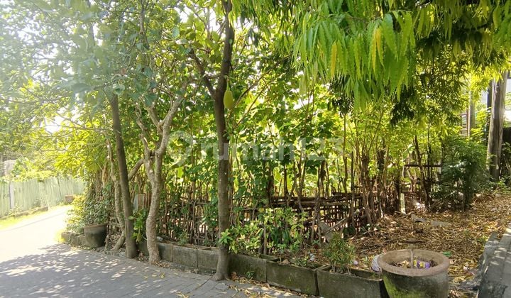 Tanah Premium Di Pinggir Jalan Raya Puputan Renon Denpasar. Shm