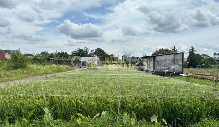 Tanah Strategis Dalam Ringroad Maguwo Potensial Usaha