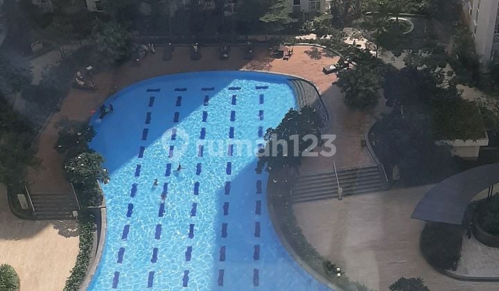 Dijual Apartemen Springlake 3 Bedroom Murah Meriah 3 Kamar Tidur Furnished