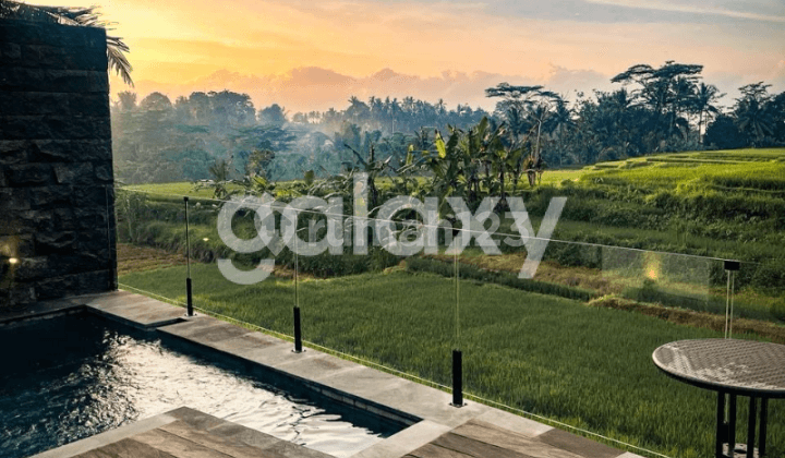 Villa Rice Field di Pacung Selat Abiansemal Mengwi Badung, Bali