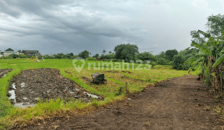 Land Umalalang Cemagi Mengwi Badung