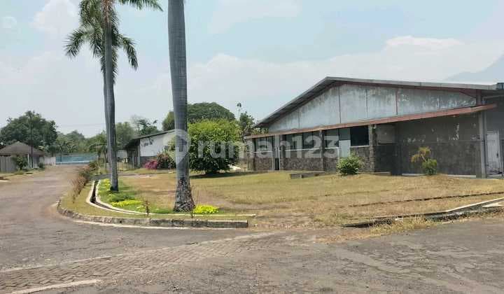 Gempol Pasuruan Main Road