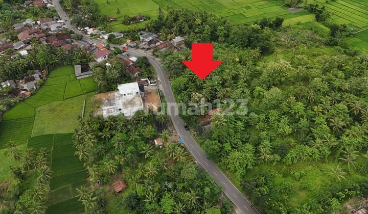 Jual Tanah Lokasi Strategis di Cigeulis, Banten