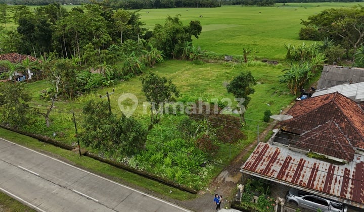 Jual Tanah Strategis di Sobang, Banten