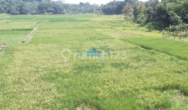 Jual Tanah Murah Dekat Exit Tol Tunjung Teja Serang