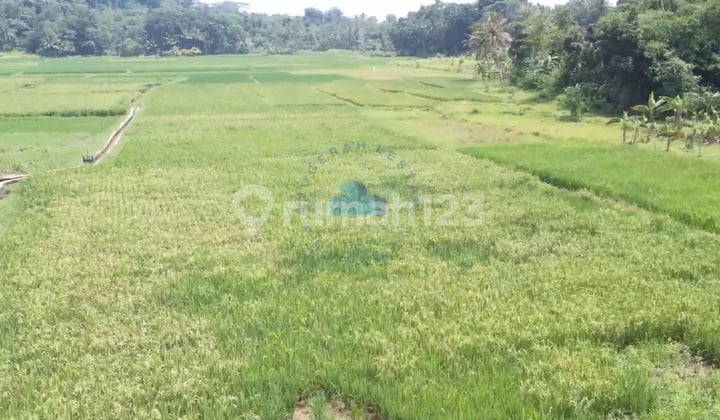 Jual Tanah Murah Dekat Exit Tol Tunjung Teja Serang