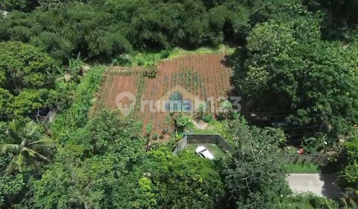 Jual Tanah Murah Zona Komersial di Dangdang Cisauk Tangerang
