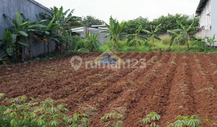 Jual Tanah Industri Padurenan Gunung Sindur Bogor