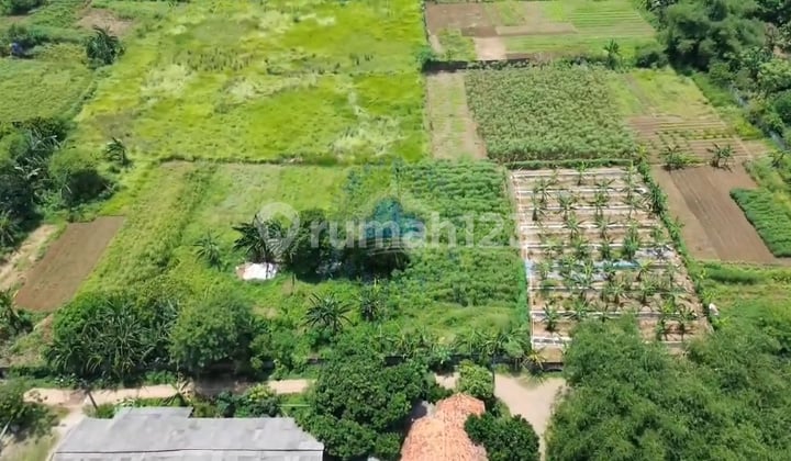 Jual Tanah Murah Zona Komersial di Bojong Nangka Tangerang