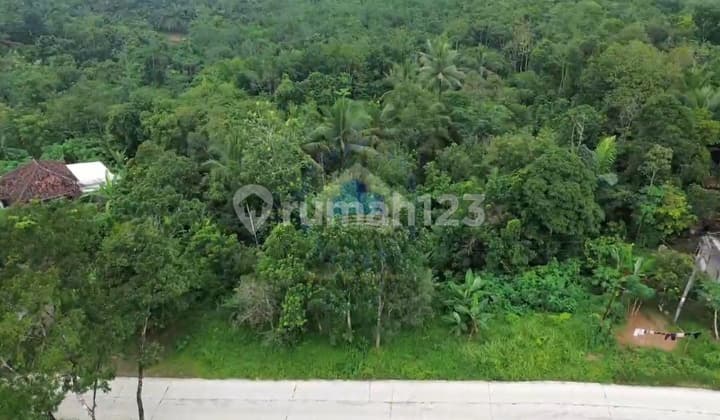 Jual Tanah Industri Di Jl Raya Sampay Cileles Lebak Banten