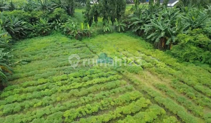 Dijual Tanah Zona Industri Di Gembor Pasar Kemis Tangerang Banten