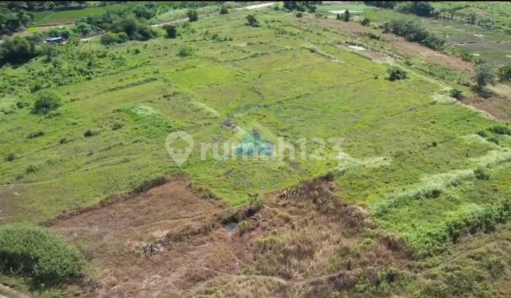 Jual Tanah Zona Industri Di Jl Raya Cikande Rangkasbitung Serang