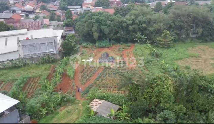 Jual Tanah Industri Di Jl Pedurenan 3 Gunung Sindur Bogor