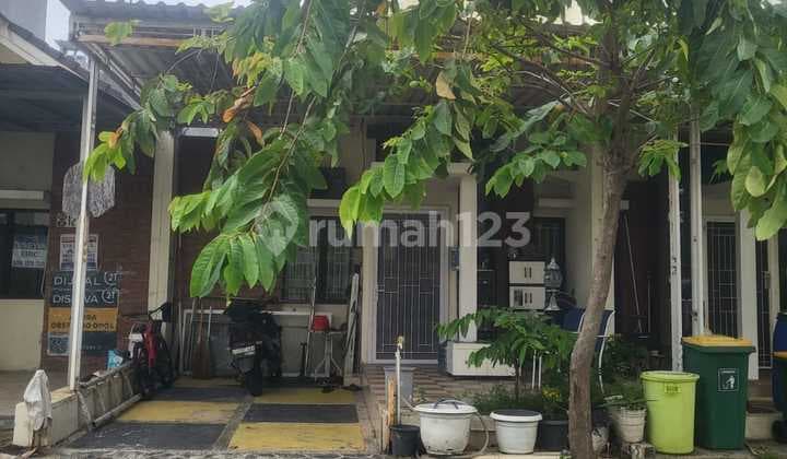 Jual Cepat Murah Rumah Full Renovasi - Green Ara Cluster Ebony