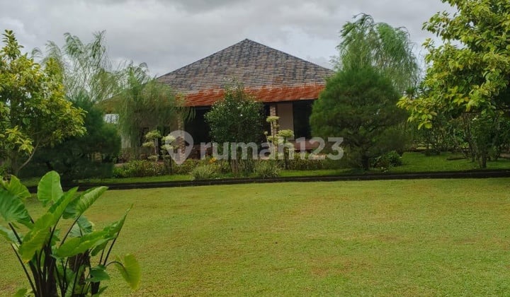 Vila/Kavling/Rumah Lt10000m, Cikupa, Harga@30 Milyard(Nego)
