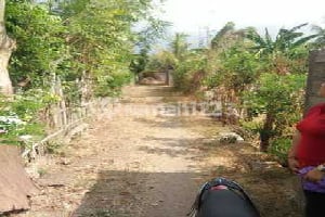 Butuh Uang Cepat Tanah Dijual Murah Hanya 200 Jt Global