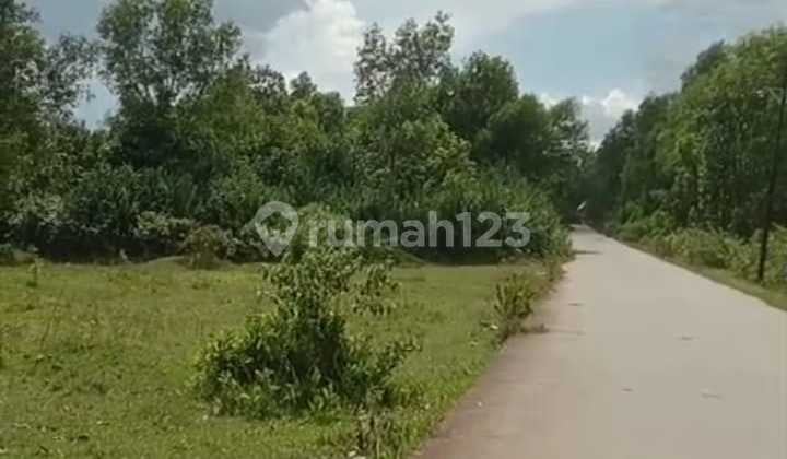 Tanah AJB Murah Nempel Stasiun Tigaraksa Tangerang