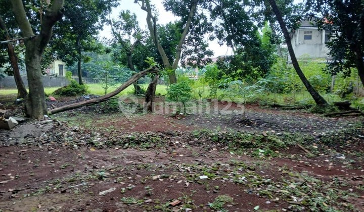 Dijual Tanah Harga Murah Cocok Dibangun Cluster di Lubang Buaya
