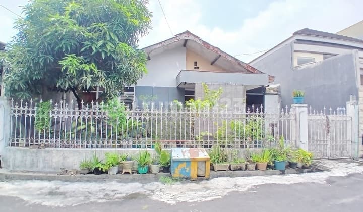 Rumah Hitung Tanah Area Candi Mendut Suhat Cocok Utk Kost