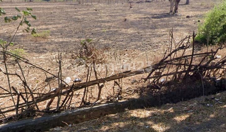 Sell Fast Cheap, LAND in SUMBAWA, NTB, Strategic Location near a Major Highway