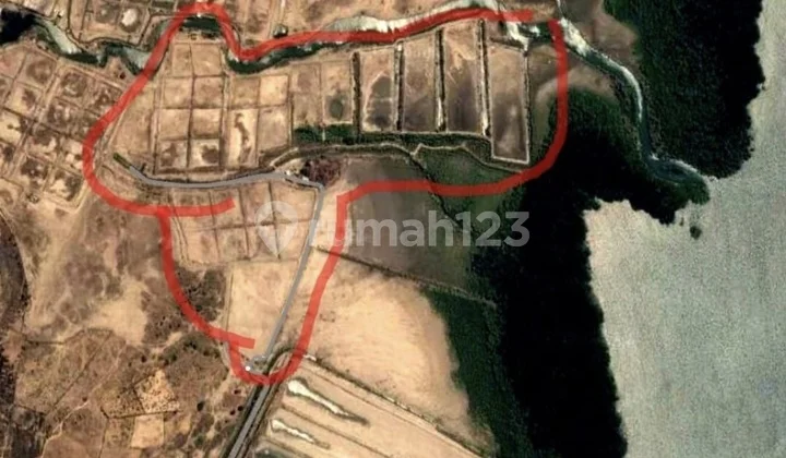 Jual Cepat Murah TAMBAK UDANG 15 hektar di Plampang, SUMBAWA, NTB Jual Cepat Murah TAMBAK UDANG 15 hektar di Plampang, SUMBAWA, NTB