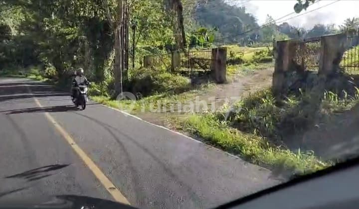 Sell Cheap...‼️ Far Below Bank Appraisal! House and Land Area 14,000M² (1.4Ha) in Tomohon, North Sulawesi