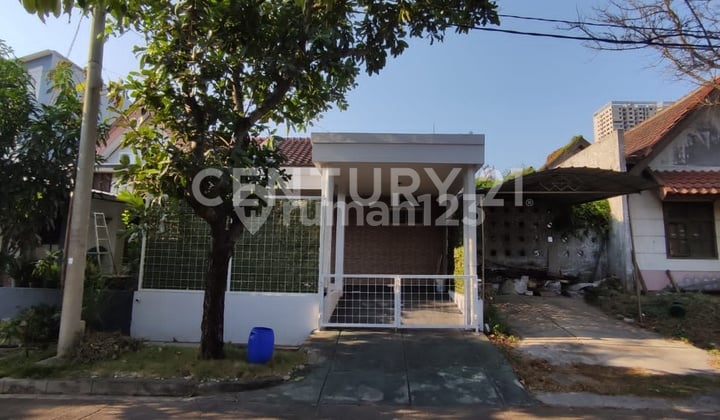 Beverly Green Palm Garden Ready to Live In Furnished Near Elite Schools