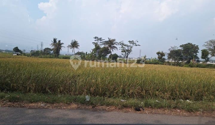 Dijual Tanah Cocok untuk Cluster di Padalarang