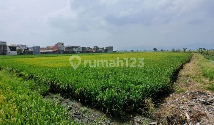 Dijual Lahan Sawah Samping G Land Ciwastra