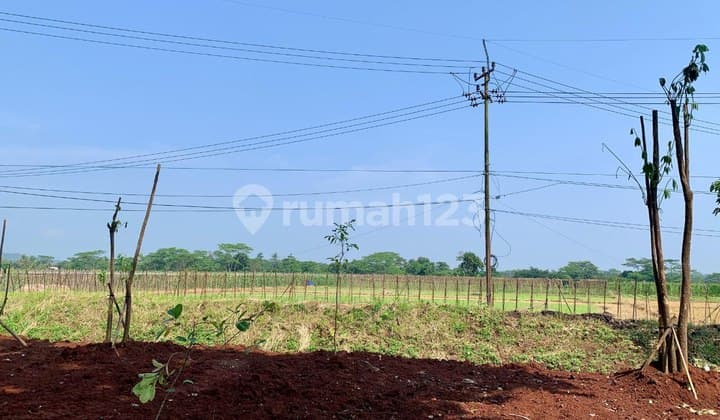 Dijual Cepat Tanah Mainroad Dawuan Subang