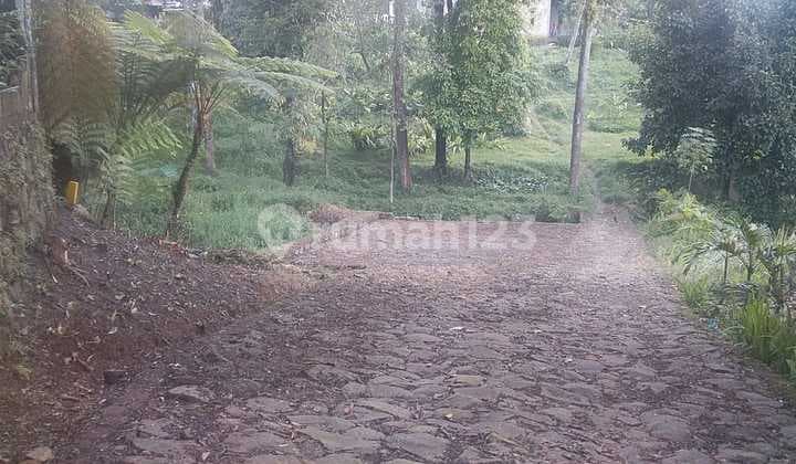 Dijual Tanah Harga Bagus Di Cijayanti Sentul - Lokasi Ramai